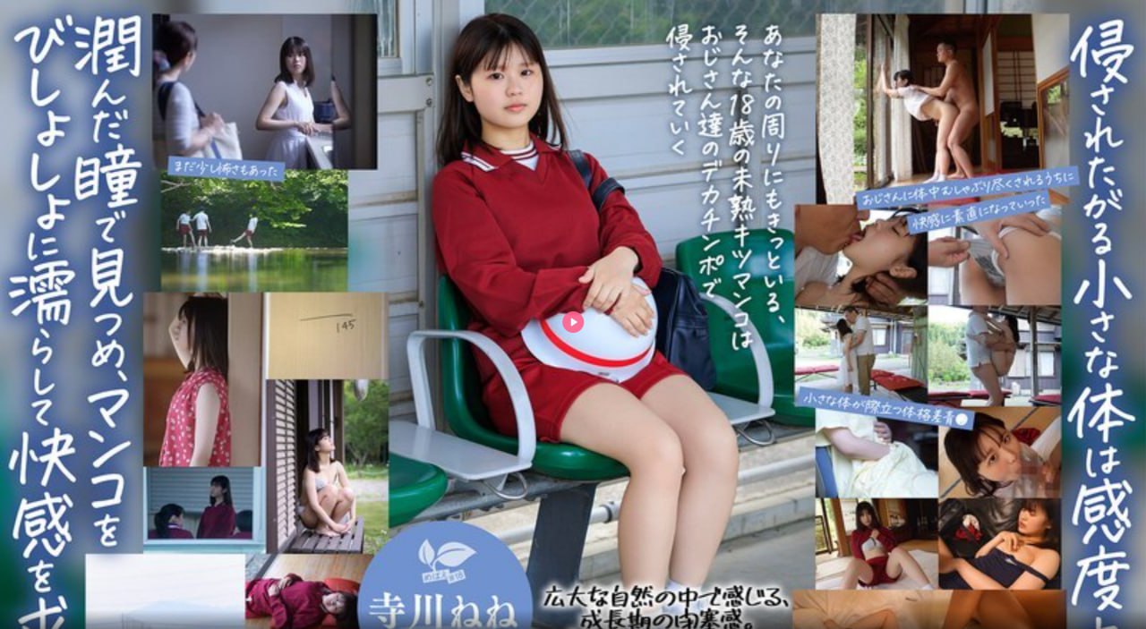2022亚洲无砖无线码神秘获取,破解无砖密码,揭秘亚洲...